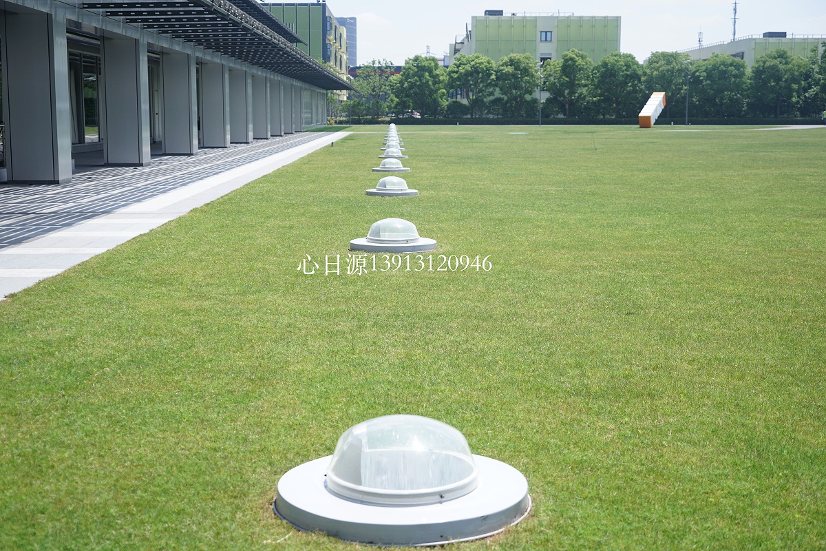 DSC09593副本 DSC09593副本