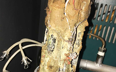 興寶塑料沃肯案例水垢